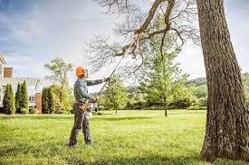 Best Lawn Disease Treatment  in Kewanee, IL