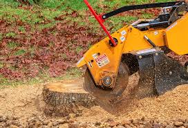 Reliable Kewanee, IL Tree Services Solutions