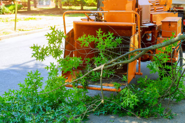 Lawn Drainage Solutions in Kewanee, IL
