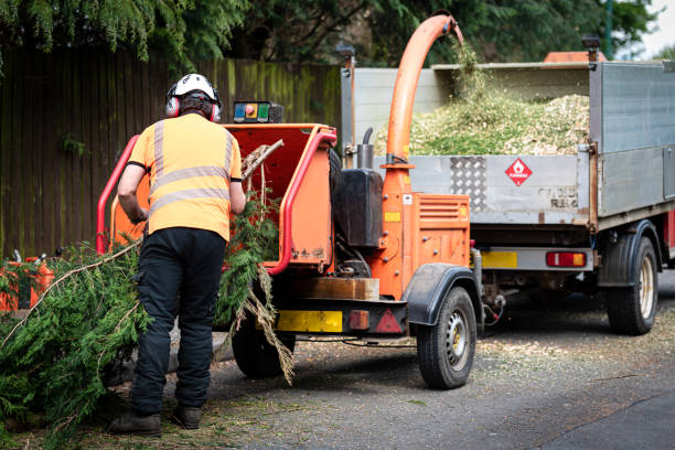 Best Lawn Drainage Solutions  in Kewanee, IL