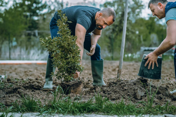Mulching Services in Kewanee, IL